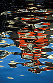Reflection In Canal