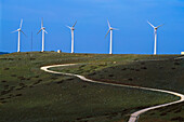 Wind Turbines On Wind Farm
