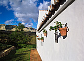 View Along The White Wall Of A Finca.