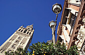 La Giralda Bell Tower, Archbishop's Palace, Street Lamp And Orange Trees