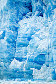 Detail In Ice @ Terminus Of South Sawyer Glacier Se Ak Summer Tracy Arm Fords-Terror Wilderness Area