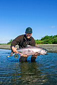Fly-Fisherman Poses With Chinook Salmon Catch Along Kanektok River Alaska