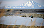 Woman Fly Fishing For Wild Steelhead On Deep Creek With Mt. Redoubt In The Background, Kenai Peninsula, Southcentral Alaska, Autumn