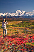 Ein älterer Wanderer betrachtet den Mt. Mckinley und die Alaska Range mit einem Fernglas in der Nähe des Wonder Lake Campground, Denali National Park, Alaska.