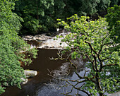 Fluss Roe, der durch den Roe Valley Country Park fließt, Nordirland; Grafschaft Londonderry, Irland
