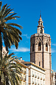 The miguelete the tower of the cathedral of valencia above palm trees and buildings of plaza de la reina; Valencia spain