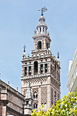 Bell tower of Seville Cathedral; Seville Andalusia Spain