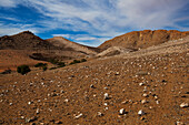 Wüstenlandschaft; Klein-aus vista namibia