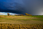 Farmland unter einem dunklen bewölkten Himmel; Hertfordshire, England