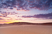 Sunset Over The Sand Dunes; Liwa Oasis, Abu Dhabi, United Arab Emirates