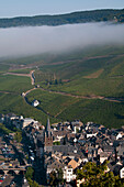 Bernkastel-Kues, Eine Weinregion im Moseltal; Rheinland-Pfalz, Deutschland
