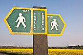 Schild für einen öffentlichen Fußweg durch gelbe Rapsfelder in der typisch englischen Hügellandschaft um das Dorf Ashmore; Wiltshire, England