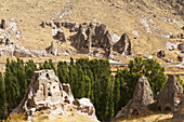 Fairy Chimneys And Trees In An Arid Landscape; Goreme, Cappadocia, Turkey