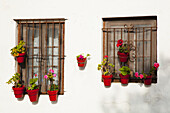 Kleine Blumentöpfe schmücken Fenster, Sancti Petri, nahe Chiclana De La Frontera; Andalusien, Spanien