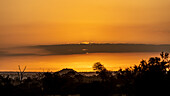 A sunrise with silhouettes of the African wilderness. _x000B_