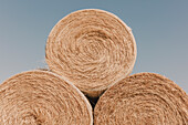 Stacked wrapped round hay bales in a field after harvest. 