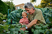 Großvater mit kleinem Enkel, der sich das wachsende Gemüse im Garten ansieht