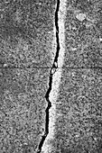 Ein Riss zwischen den mit einer weißen Linie bemalten Gehwegplatten auf einem Betongehweg. 
