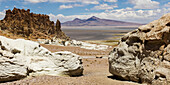 Pakana-Mönche; San Pedro De Atacama, Region Antofagasta, Chile