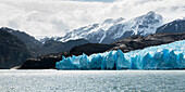Grauer See und Grauer Gletscher, Torres Del Paine Nationalpark; Torres Del Paine, Magallanes und Antartica Chilena Region, Chile