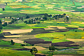 Dorfhaus und Ackerland in den Bergen, Gondar, Äthiopien