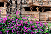 Indien, Khajuraho, Madhya Pradesh Staatlicher Tempel von Kandariya mit Büschen von Bougainvillea-Blumen im Vordergrund