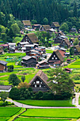 Gassho-zukuri-Häuser und Ackerland in den Bergen, Shirakawa-go, Präfektur Gifu, Japan