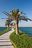 Qatar, Doha, West Bay walkway with palms