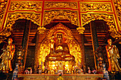 Riesiger goldener Buddha, Bai Dinh Buddhist Temple Complex, nahe Ninh Binh, Vietnam
