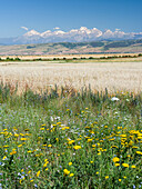 Landscape in the foothills of the Fergana mountain range (Ferganskij xrebet) close to the border to Uzbekistan, Kyrgyzstan