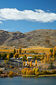 Autumn colors, Bannockburn Inlet, Lake Dunstan, Central Otago, South Island, New Zealand