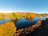 Kellands Pond, near Twizel, Mackenzie District, South Canterbury, South Island, New Zealand, drone aerial