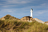 Neuseeland, Nordinsel, Castlepoint. Castlepoint-Leuchtturm