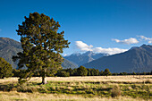 Neuseeland, Südinsel, Westküste, Fox Glacier Village, Blick auf Mt. Tasman und Mt. Cook