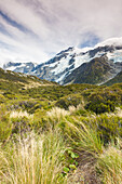 Neuseeland, Südinsel, Canterbury, Aoraki-Mt. Cook National Park, Hooker Valley Wanderung