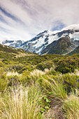 New Zealand, South Island, Canterbury, Aoraki-Mt. Cook National Park, Hooker Valley hike