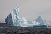 Eisberge, Kings Cove, Neufundland, Kanada