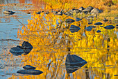 Canada, Ontario, Whitefish. Autumn colors reflect in Vermilion River
