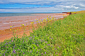 Canada, Prince Edward Island, Skinners Pond. Red sandstone beach on Northumberland Strait