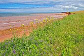 Kanada, Prinz-Edward-Insel, Skinners Pond. Roter Sandsteinstrand an der Northumberland Strait