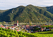 Mittelalterliche Stadt Weißenkirchen in der Wachau, mit der Wehrkirche Mariae Himmelfahrt. Die Wachau ist ein berühmtes Weinanbaugebiet und steht als Kulturlandschaft Wachau auf der Liste des Unesco-Welterbes. Europa, Mitteleuropa, Österreich, Niederösterreich