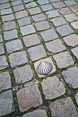 Belgium, Bruges. Bronze seashell marking of the Camino de Santiago religious pilgrimage route