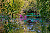 France, Giverny, Monet's Garden. Sunrise view of iconic bridge and lily pond