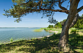 Landscape Near Gnitz At The Nature Reserve Weisser Berg On The Island Usedom. Germany, Mecklenburg-Western Pomerania