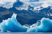 Island, schwimmende Gletscher bilden blaue Eisskulpturen in Jokulsarlon, Gletscherlagune.
