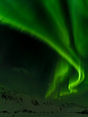 Nordlicht oder Polarlicht in der Nähe von Hofn, über den Bergen des Vatnajokull Nationalparks im Winter. Island