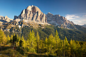 Morgendämmerung über Tofana de Rozes von Cinque Torri, Dolomiten, Venetien, Italien