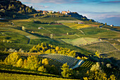 Herbstliche Abendsonne auf den Weinbergen bei Barolo mit der Stadt La Morra, Piemont, Italien