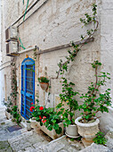 Italien, Apulien, Brindisi, Itria-Tal, Ostuni. Blaue Tür und Topfpflanzen in den Gassen und Straßen der Altstadt von Ostuni.