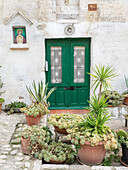 Italy, Basilicata, Matera. Plants adorn the outside walls of the Sassi houses.